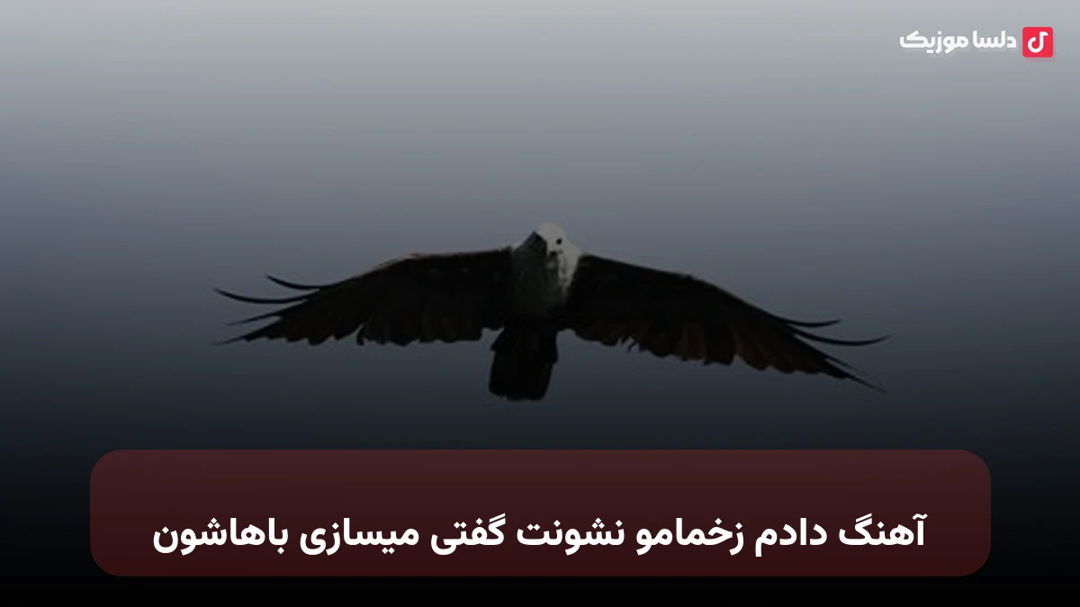  دادم زخمامو نشونت گفتی میسازی باهاشون از شروین
